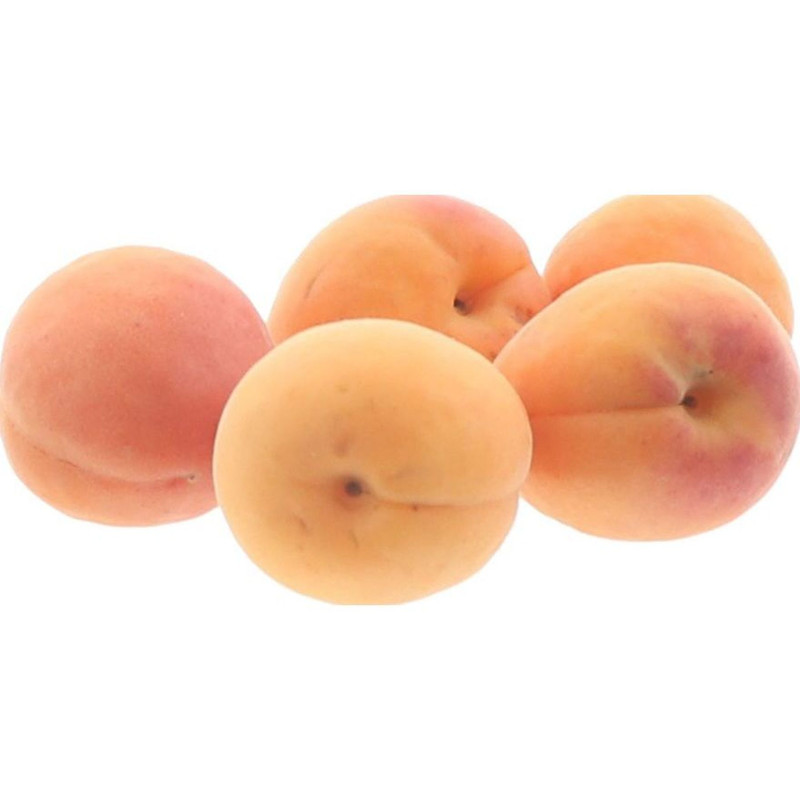 ABRICOT COLORADO NOURRIT AA 5KG